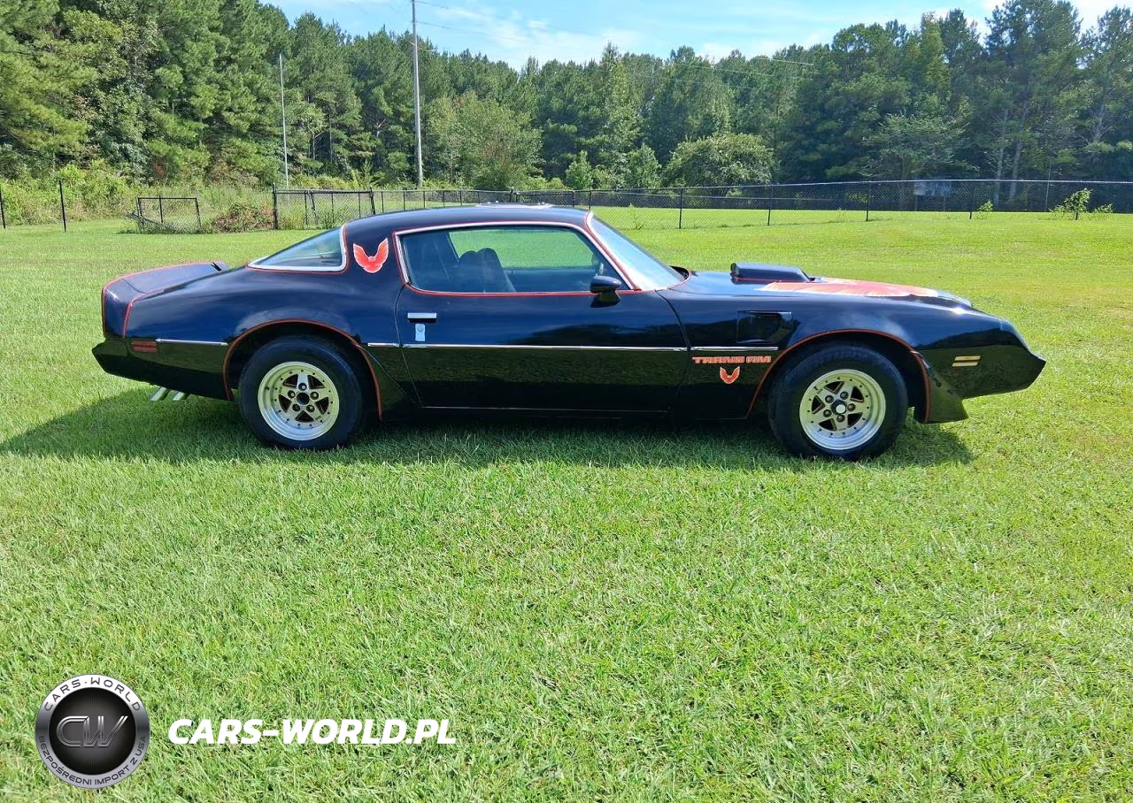 1979 Pontiac Trans Am VIN:2W87K9L180429 - 11