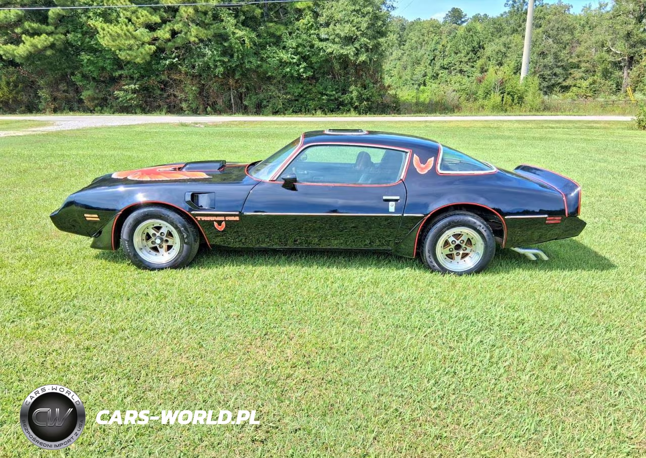 1979 Pontiac Trans Am VIN:2W87K9L180429 - 12