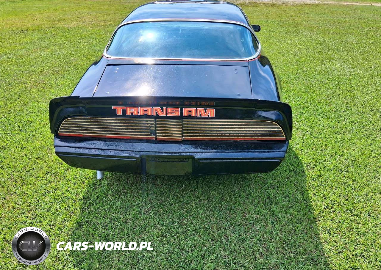 1979 Pontiac Trans Am VIN:2W87K9L180429 - 13