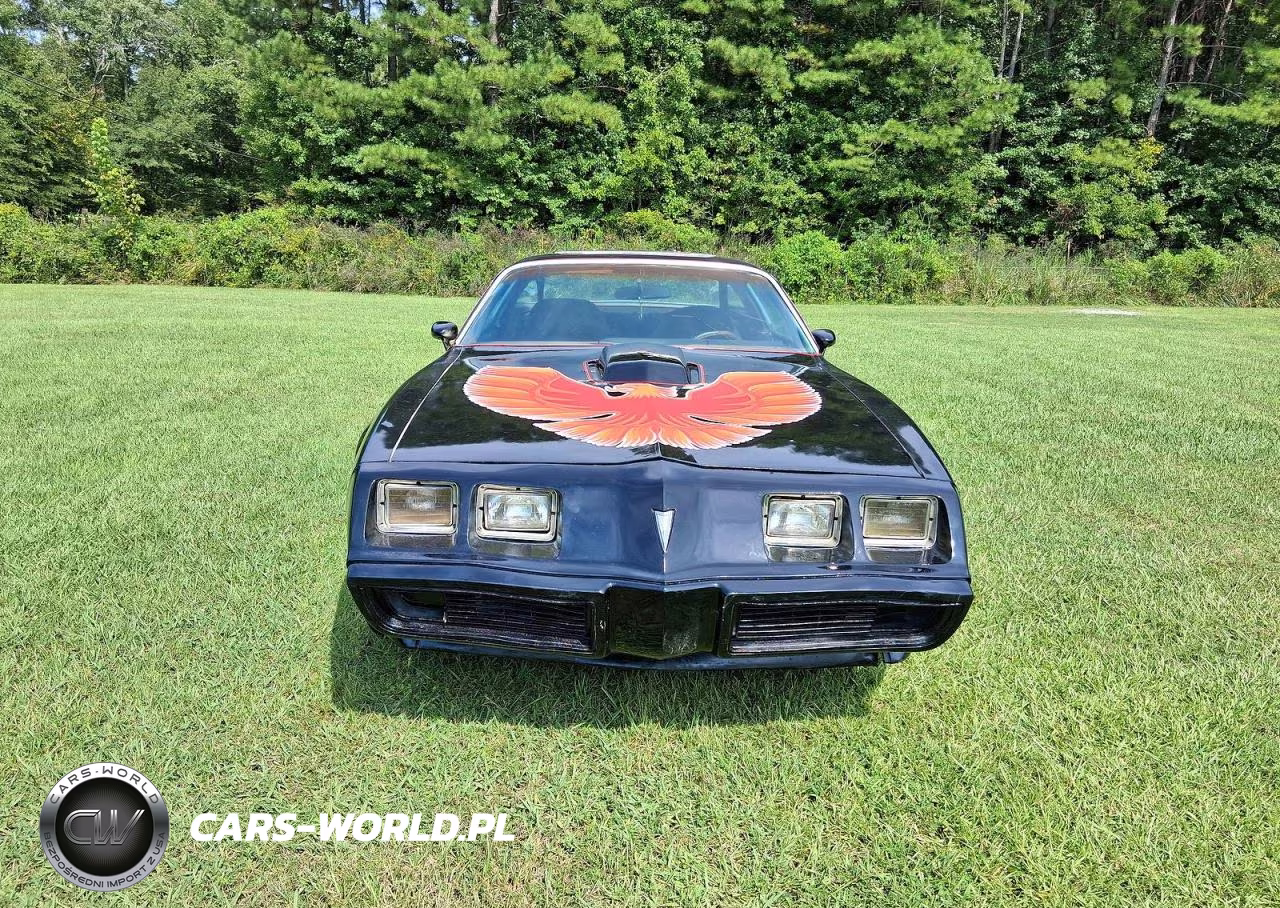 1979 Pontiac Trans Am VIN:2W87K9L180429 - 14