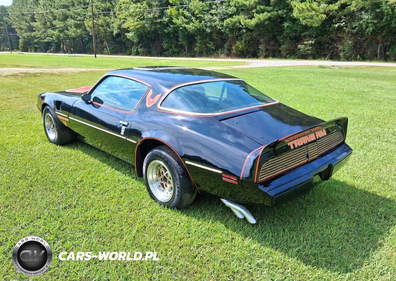 1979 Pontiac Trans Am VIN:2W87K9L180429 - 3