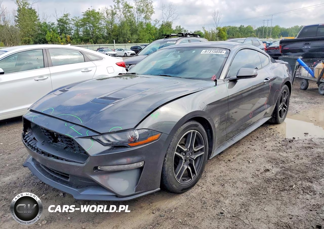 2019 Ford Mustang VIN:1FA6P8THXK5114640 - 1