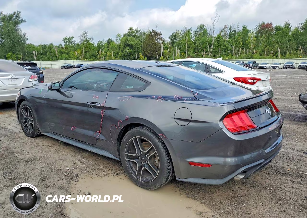 2019 Ford Mustang VIN:1FA6P8THXK5114640 - 2