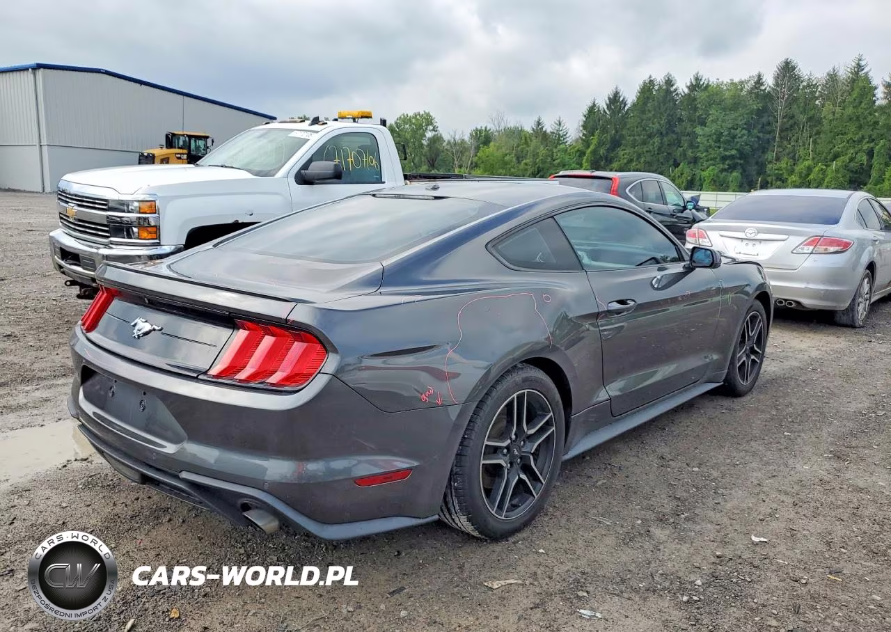 2019 Ford Mustang VIN:1FA6P8THXK5114640 - 3