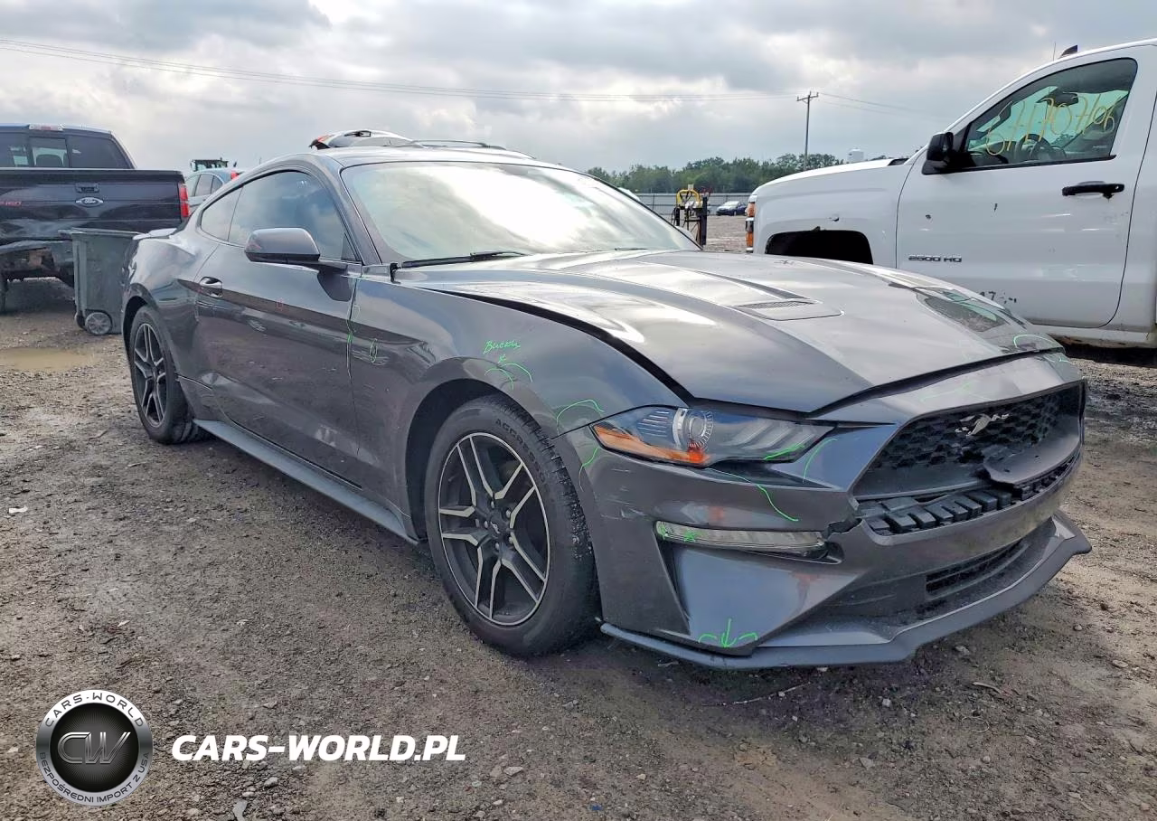 2019 Ford Mustang VIN:1FA6P8THXK5114640 - 4