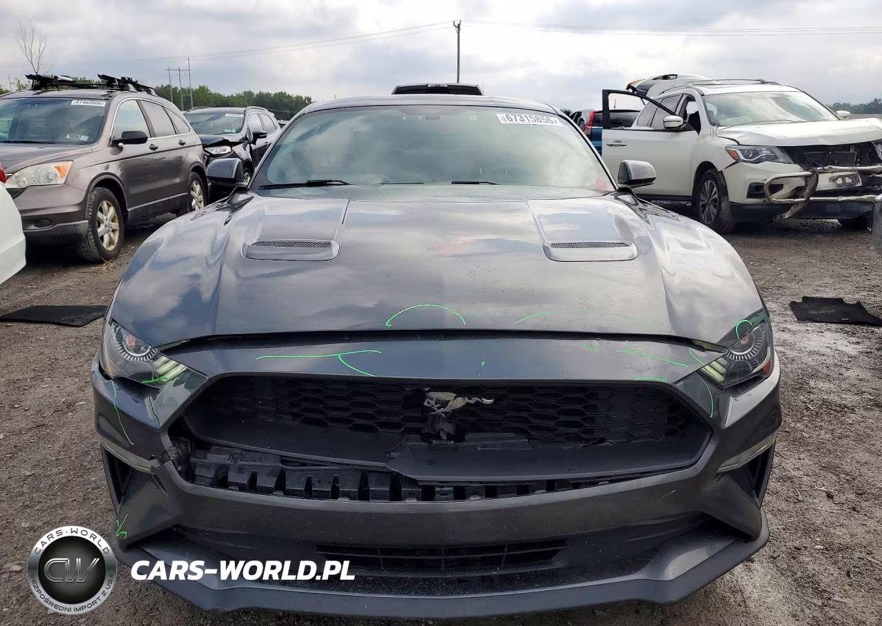 2019 Ford Mustang VIN:1FA6P8THXK5114640 - 5