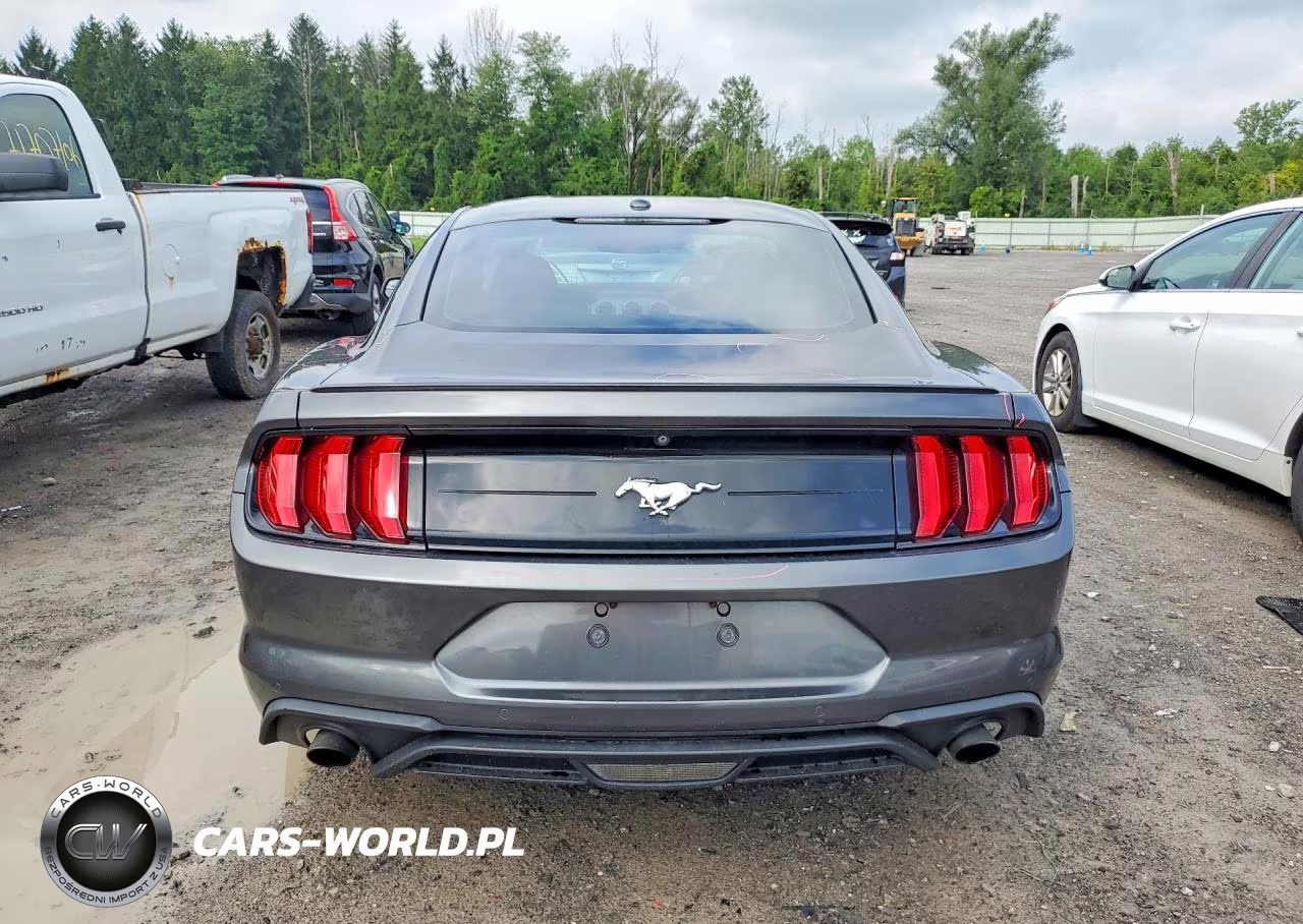2019 Ford Mustang VIN:1FA6P8THXK5114640 - 6