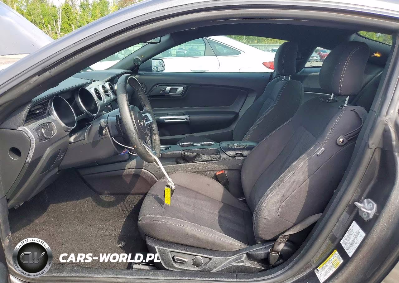 2019 Ford Mustang VIN:1FA6P8THXK5114640 - 7