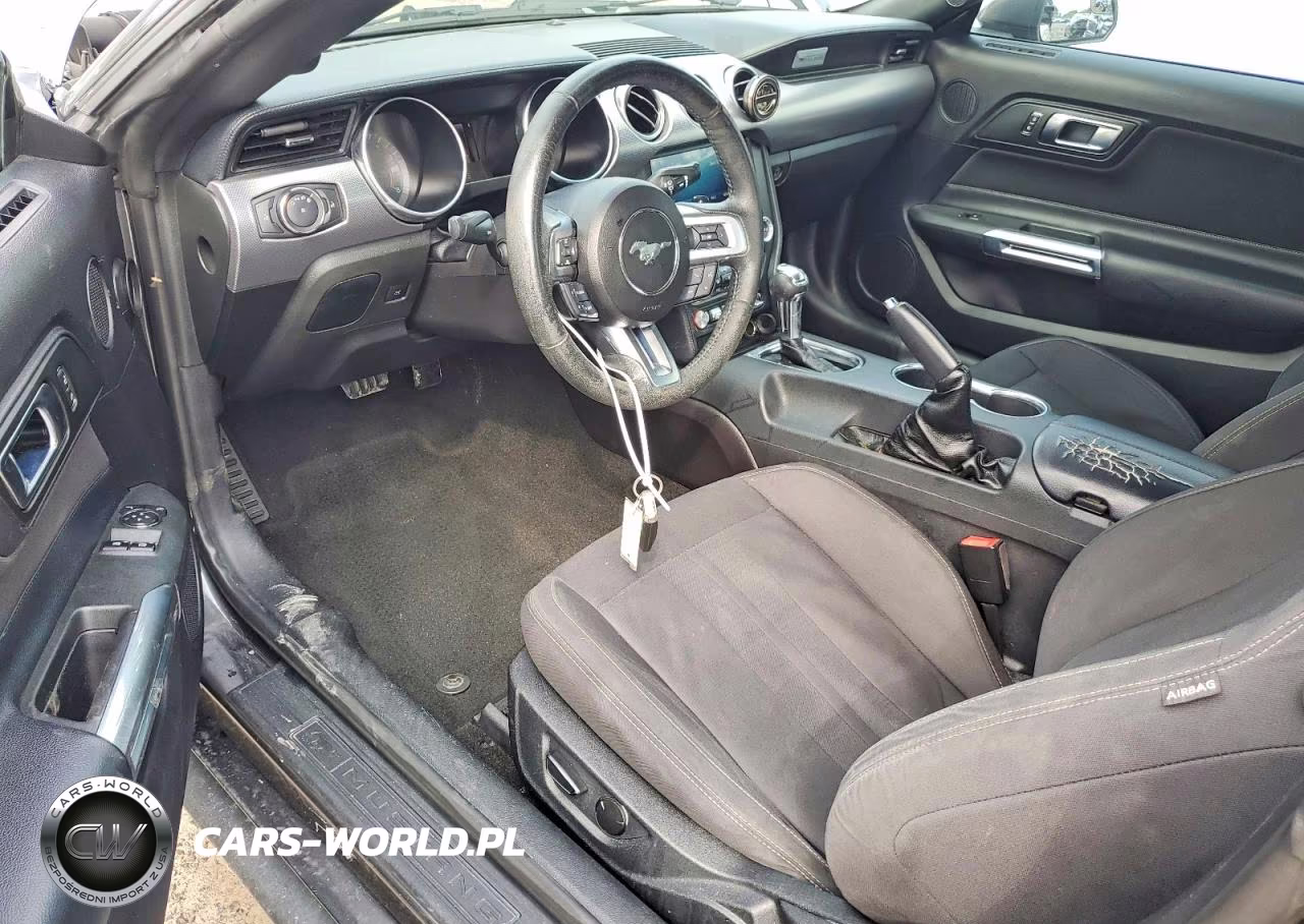 2019 Ford Mustang VIN:1FA6P8THXK5114640 - 8