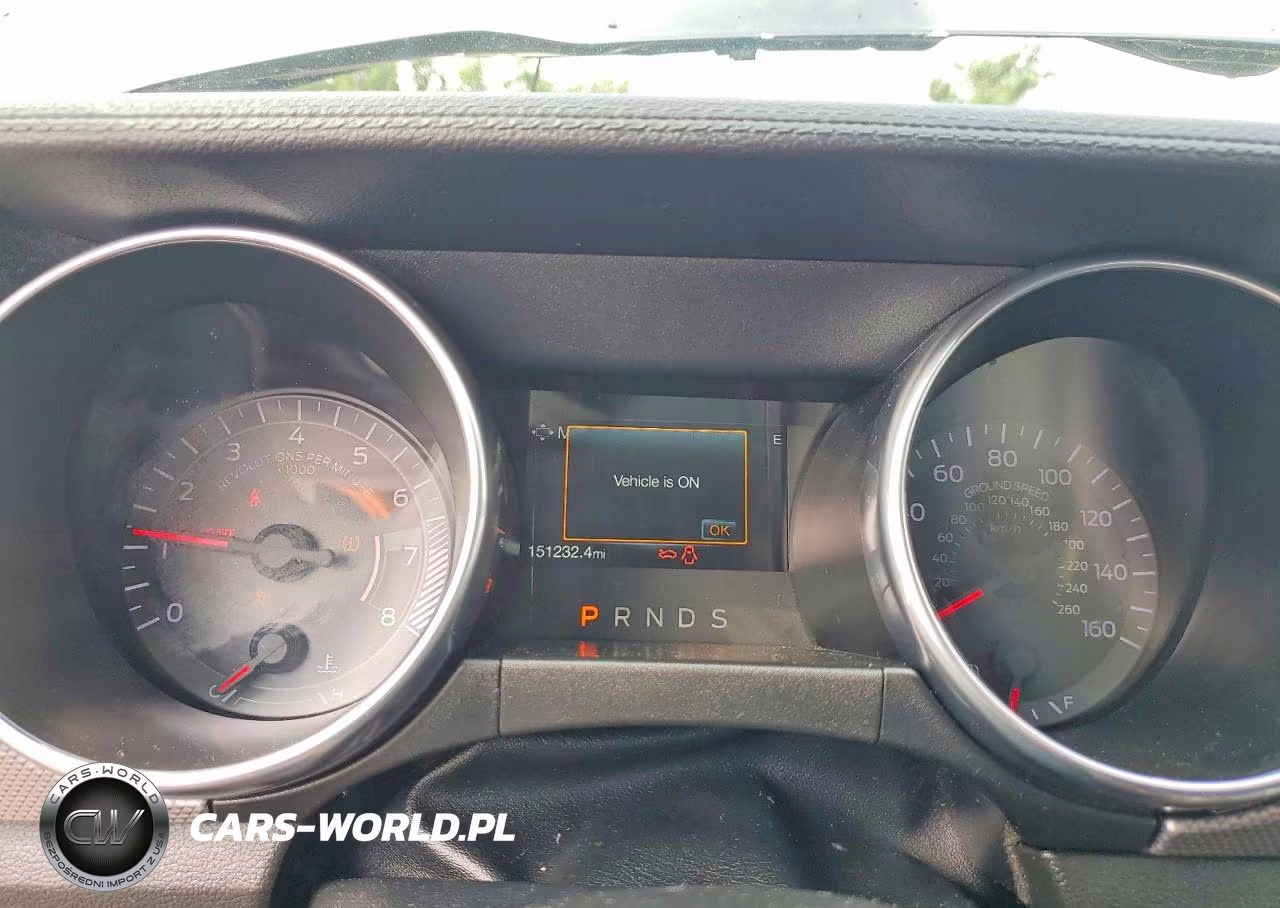 2019 Ford Mustang VIN:1FA6P8THXK5114640 - 9