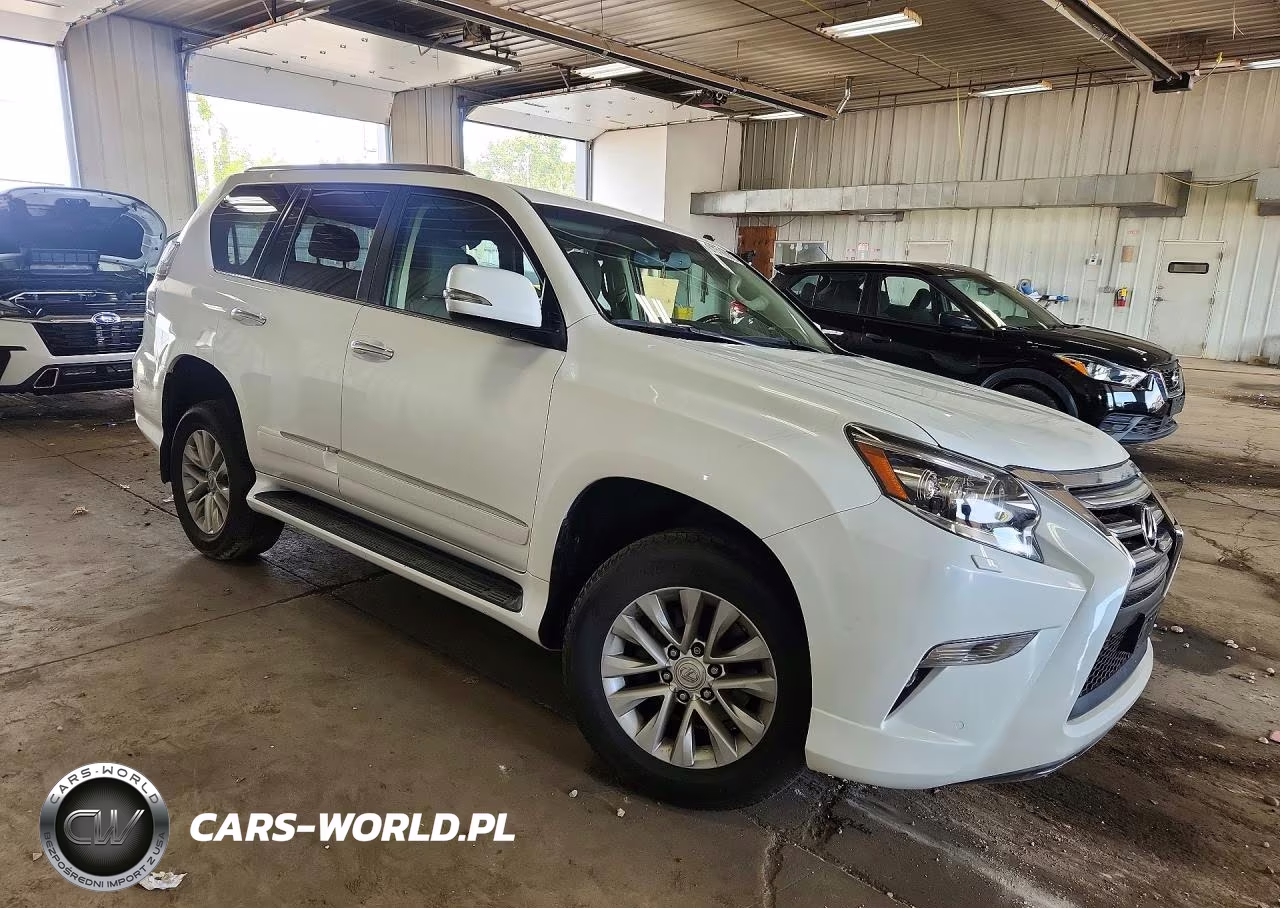 2019 Lexus Gx 460 VIN:JTJBM7FX6K5235855 - 4