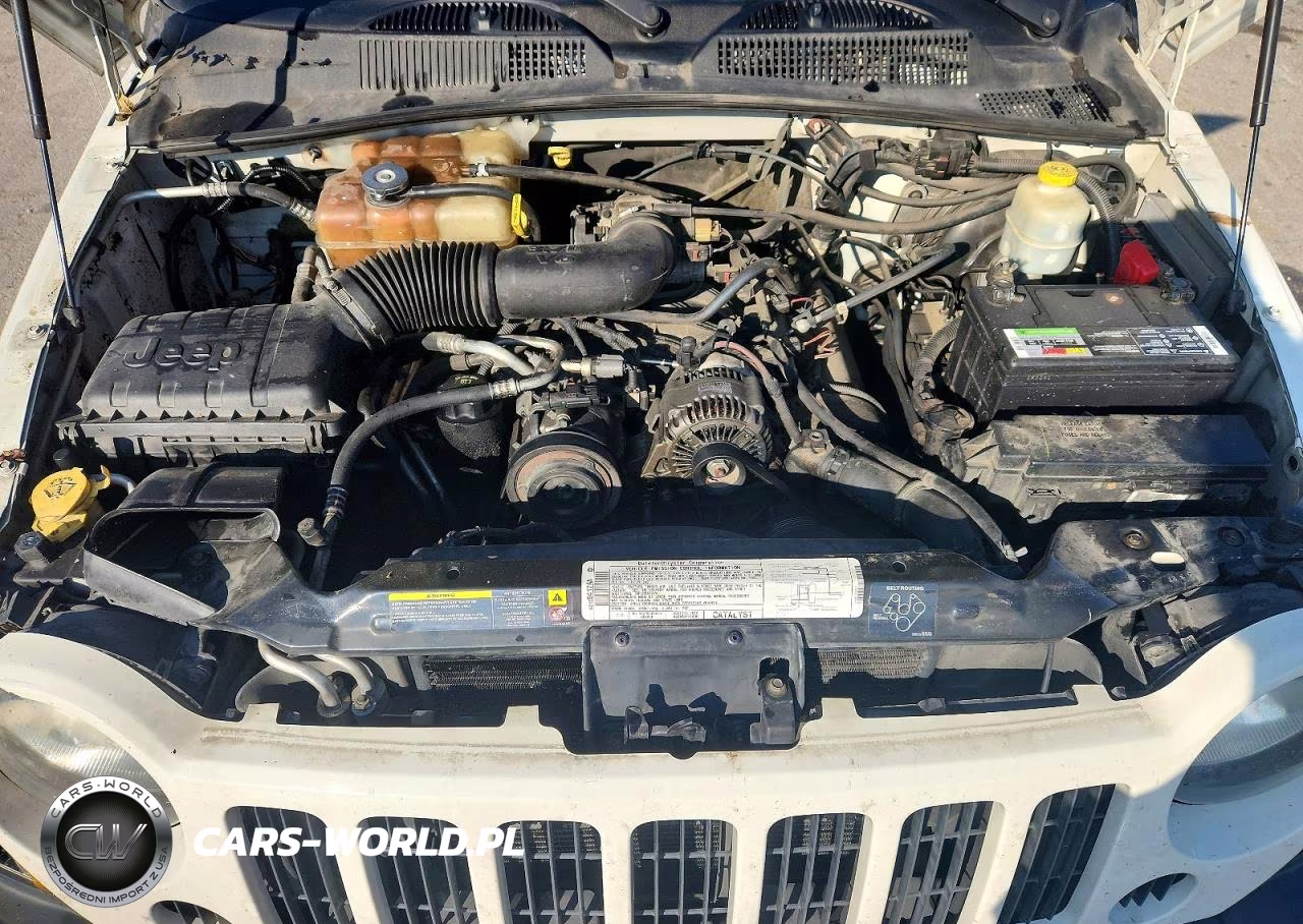 2006 Jeep Liberty Sport VIN:1J4GL48K96W161952 - 11