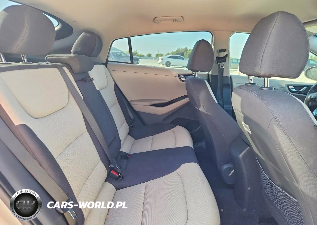 2018 Hyundai Ioniq Sel VIN:KMHC75LC1JU103333 - 10