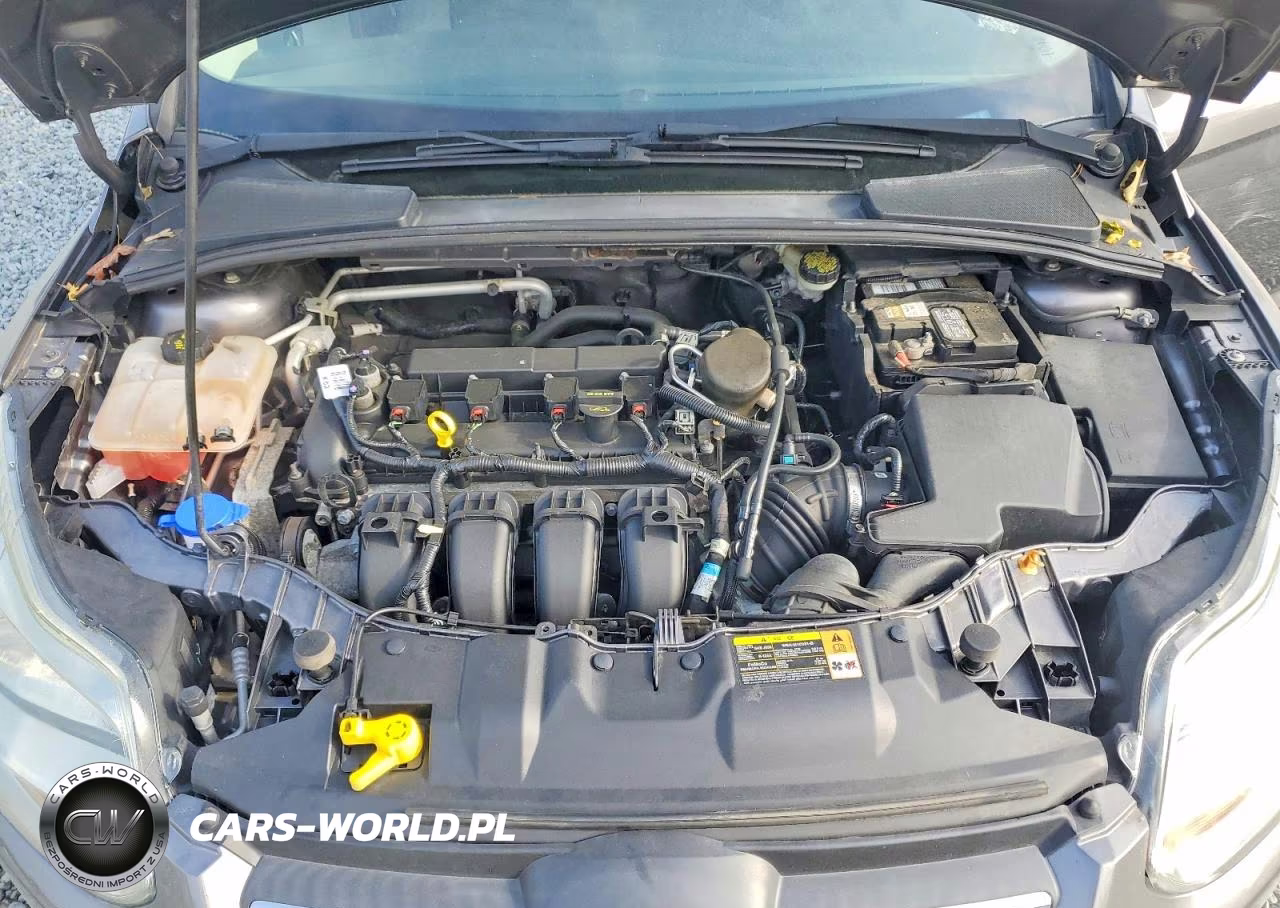 2014 Ford Focus Se VIN:1FADP3F21EL253220 - 11
