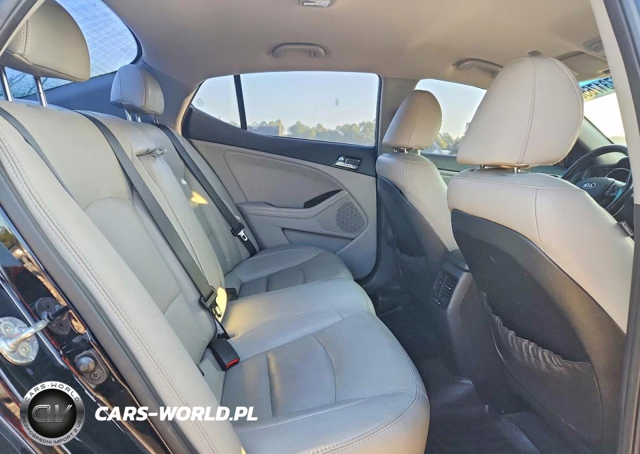 2013 Kia Optima Ex VIN:5XXGN4A79DG121200 - 10