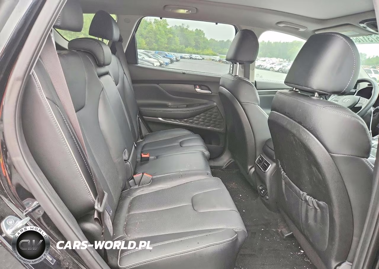 2023 Hyundai Santa Fe Limited VIN:5NMS5DA1XPH015317 - 11