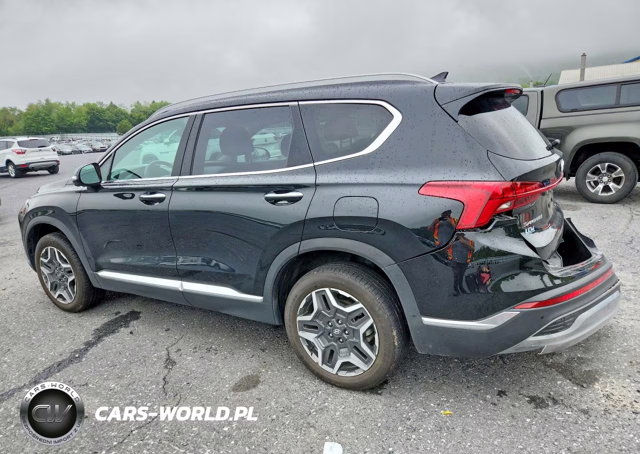 2023 Hyundai Santa Fe Limited VIN:5NMS5DA1XPH015317 - 2
