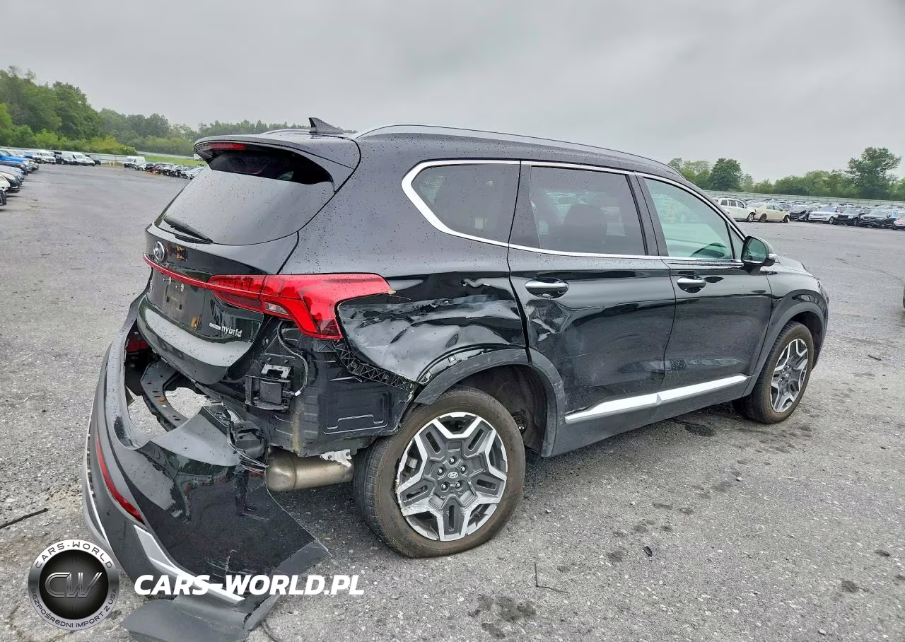 2023 Hyundai Santa Fe Limited VIN:5NMS5DA1XPH015317 - 3