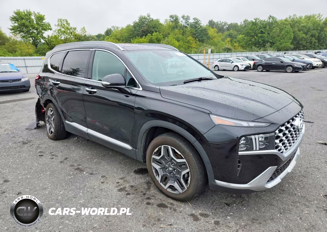 2023 Hyundai Santa Fe Limited VIN:5NMS5DA1XPH015317 - 4