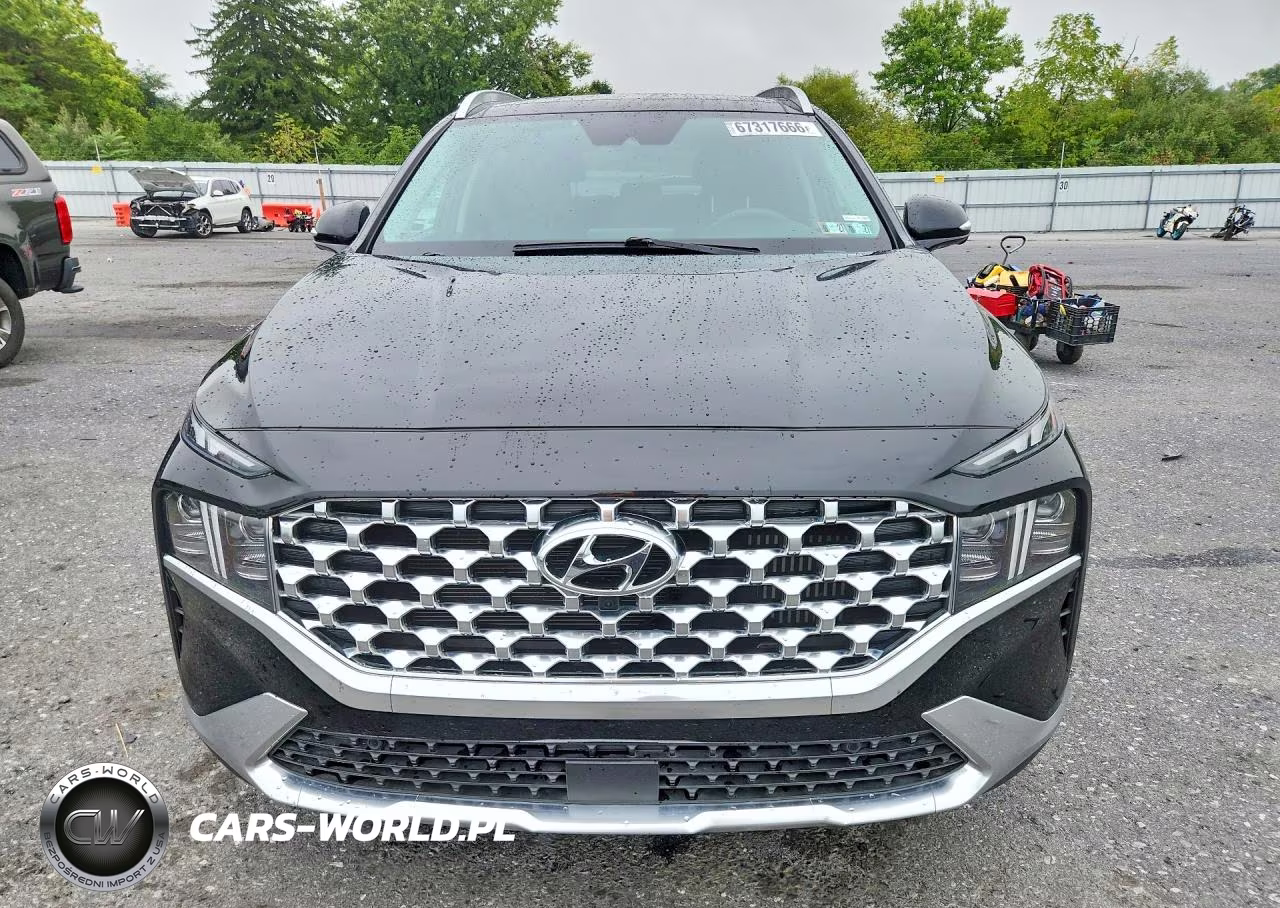 2023 Hyundai Santa Fe Limited VIN:5NMS5DA1XPH015317 - 5