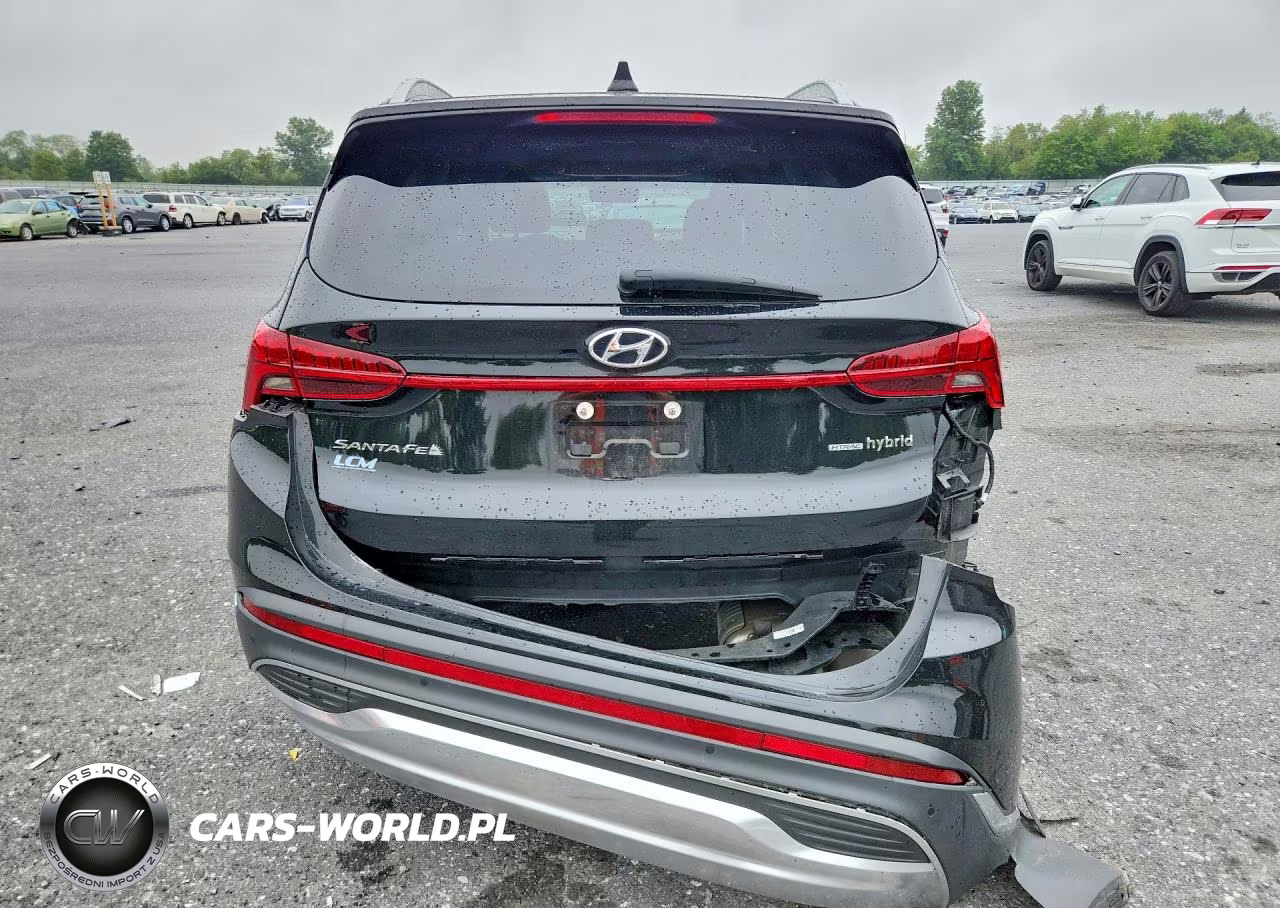 2023 Hyundai Santa Fe Limited VIN:5NMS5DA1XPH015317 - 6