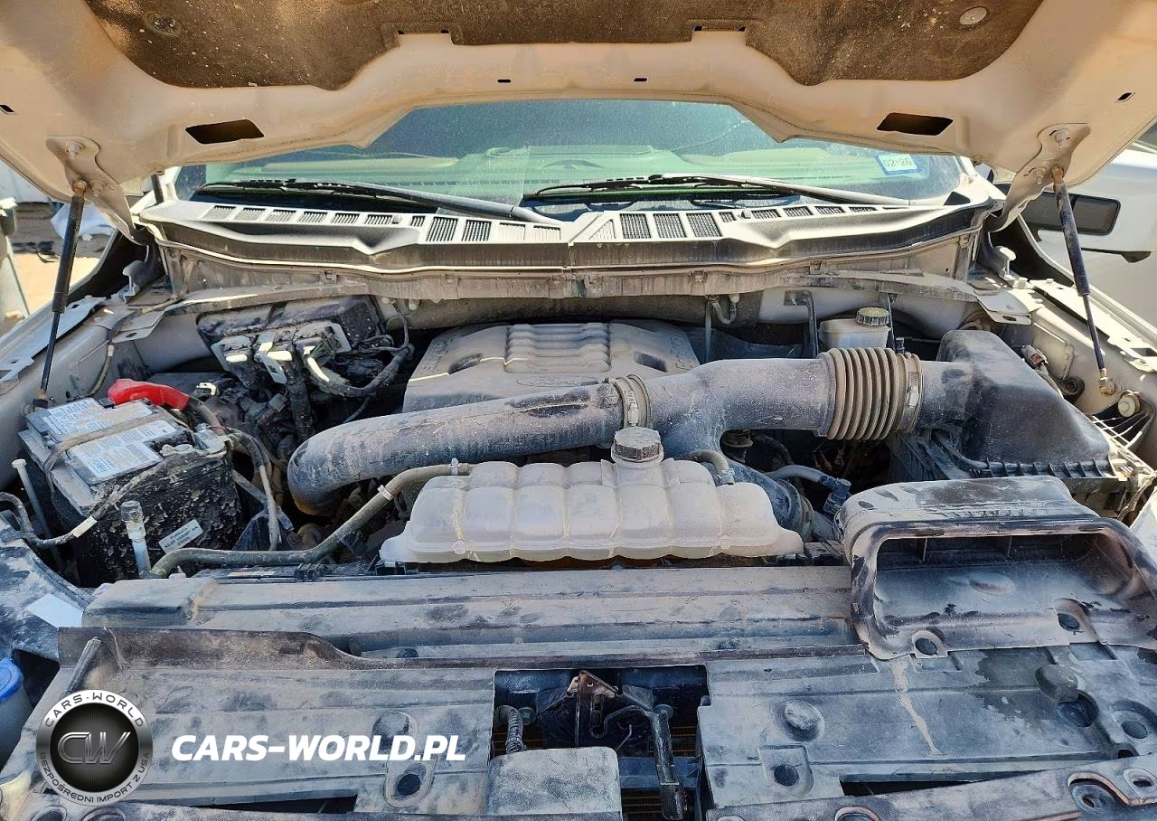 2023 Ford F150 Supercrew VIN:1FTFW1E81PKG18990 - 11