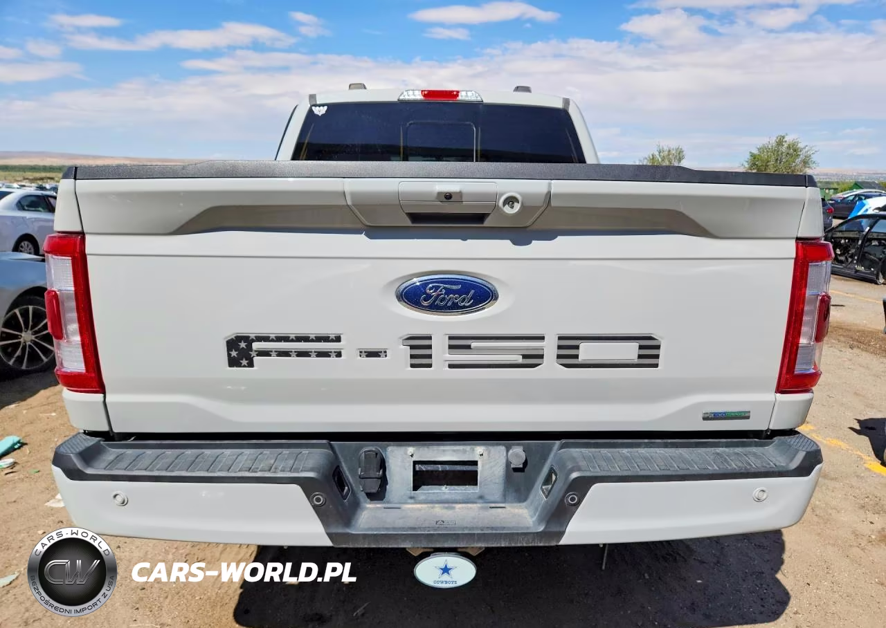2023 Ford F150 Supercrew VIN:1FTFW1E81PKG18990 - 6