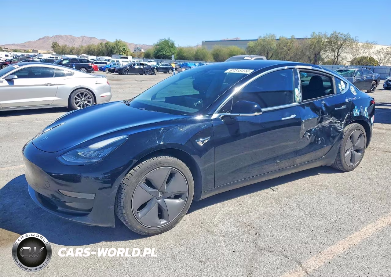 2019 Tesla Model 3