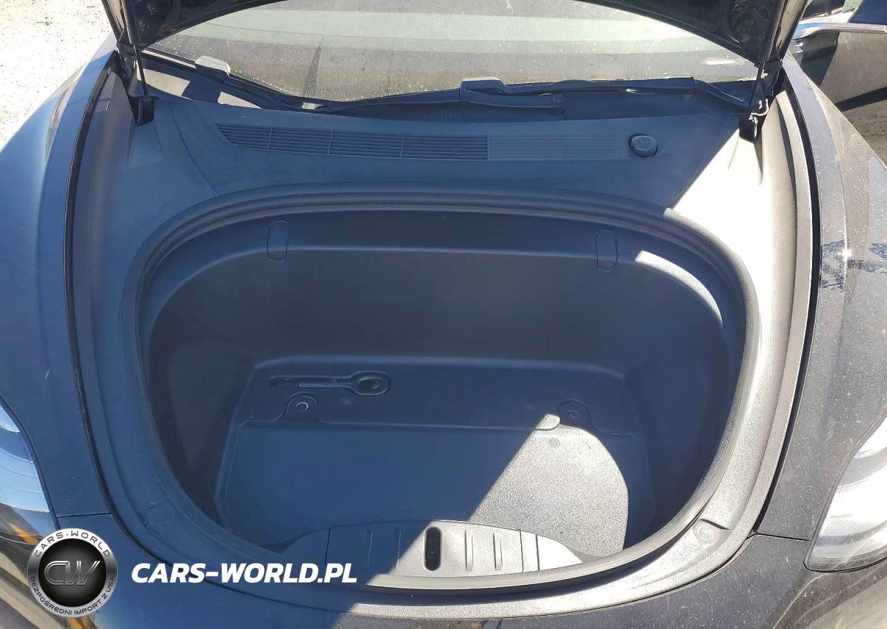 2019 Tesla Model 3 VIN:5YJ3E1EA6KF466719 - 12