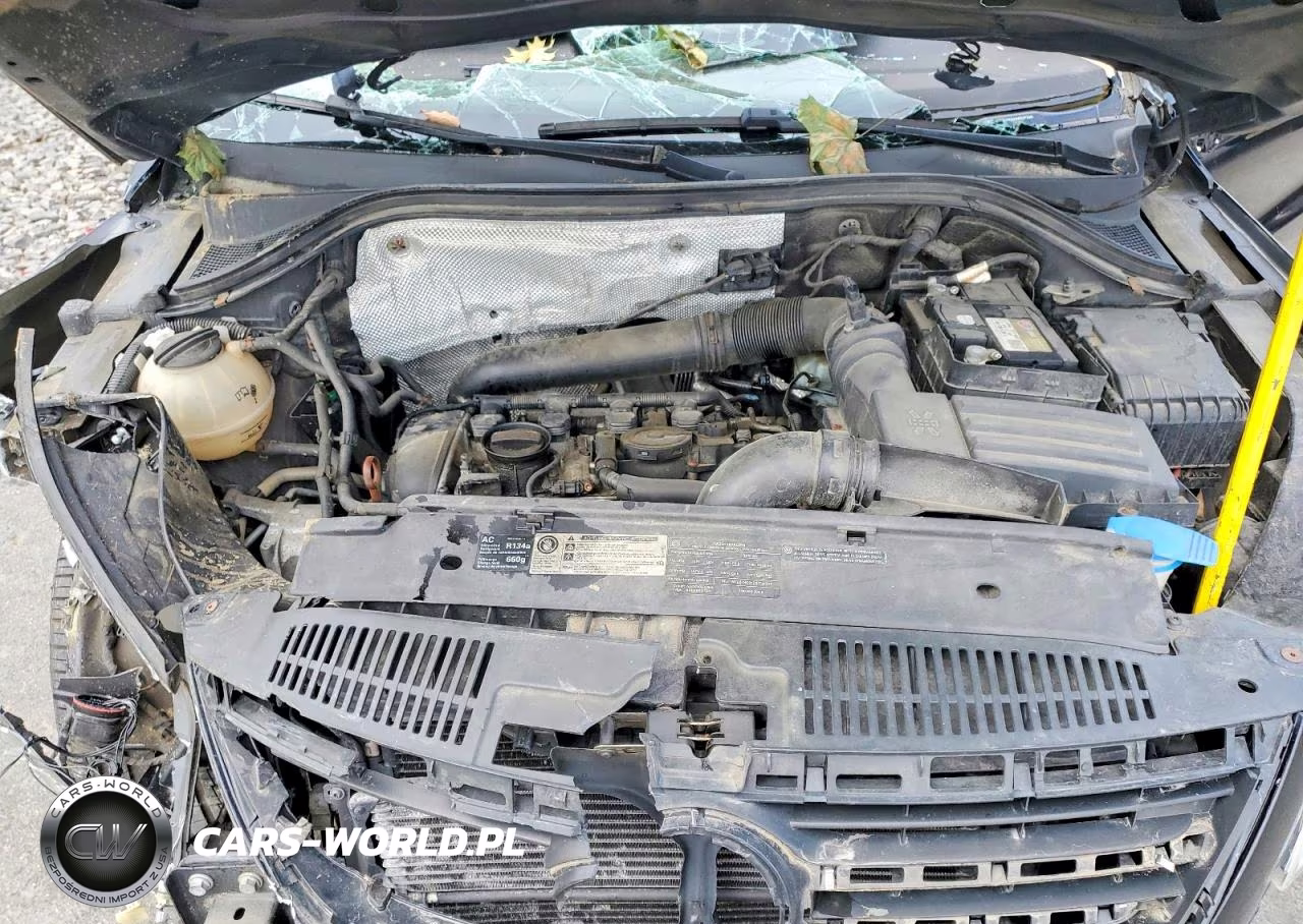 2010 Volkswagen Tiguan Se VIN:WVGBV7AX0AW525200 - 11