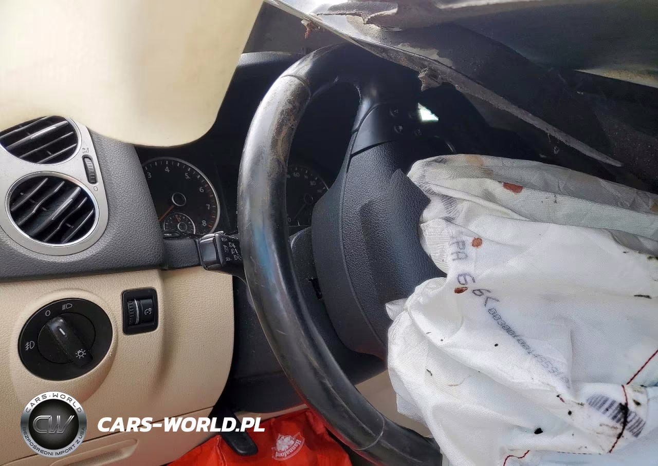 2010 Volkswagen Tiguan Se VIN:WVGBV7AX0AW525200 - 9