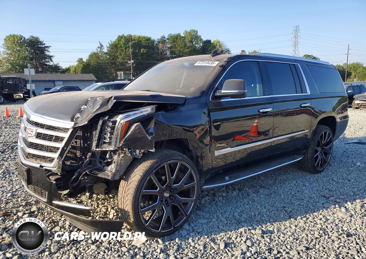2020 Cadillac Escalade Esv Luxury VIN:1GYS3HKJ6LR173942 - 1