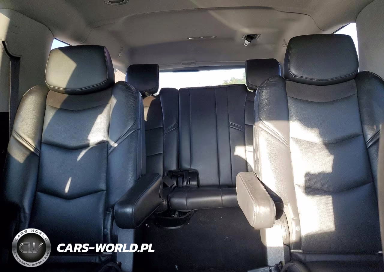 2020 Cadillac Escalade Esv Luxury VIN:1GYS3HKJ6LR173942 - 10