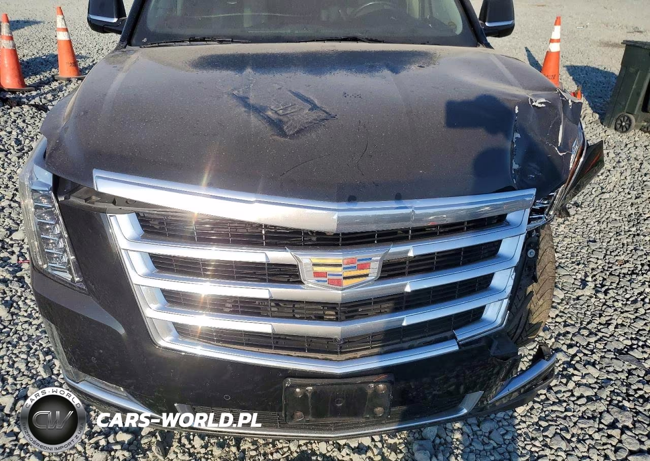 2020 Cadillac Escalade Esv Luxury VIN:1GYS3HKJ6LR173942 - 12