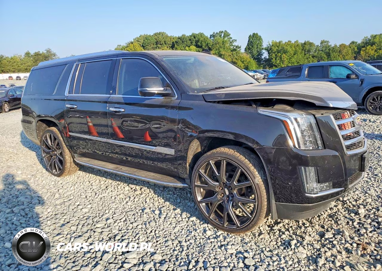 2020 Cadillac Escalade Esv Luxury VIN:1GYS3HKJ6LR173942 - 4