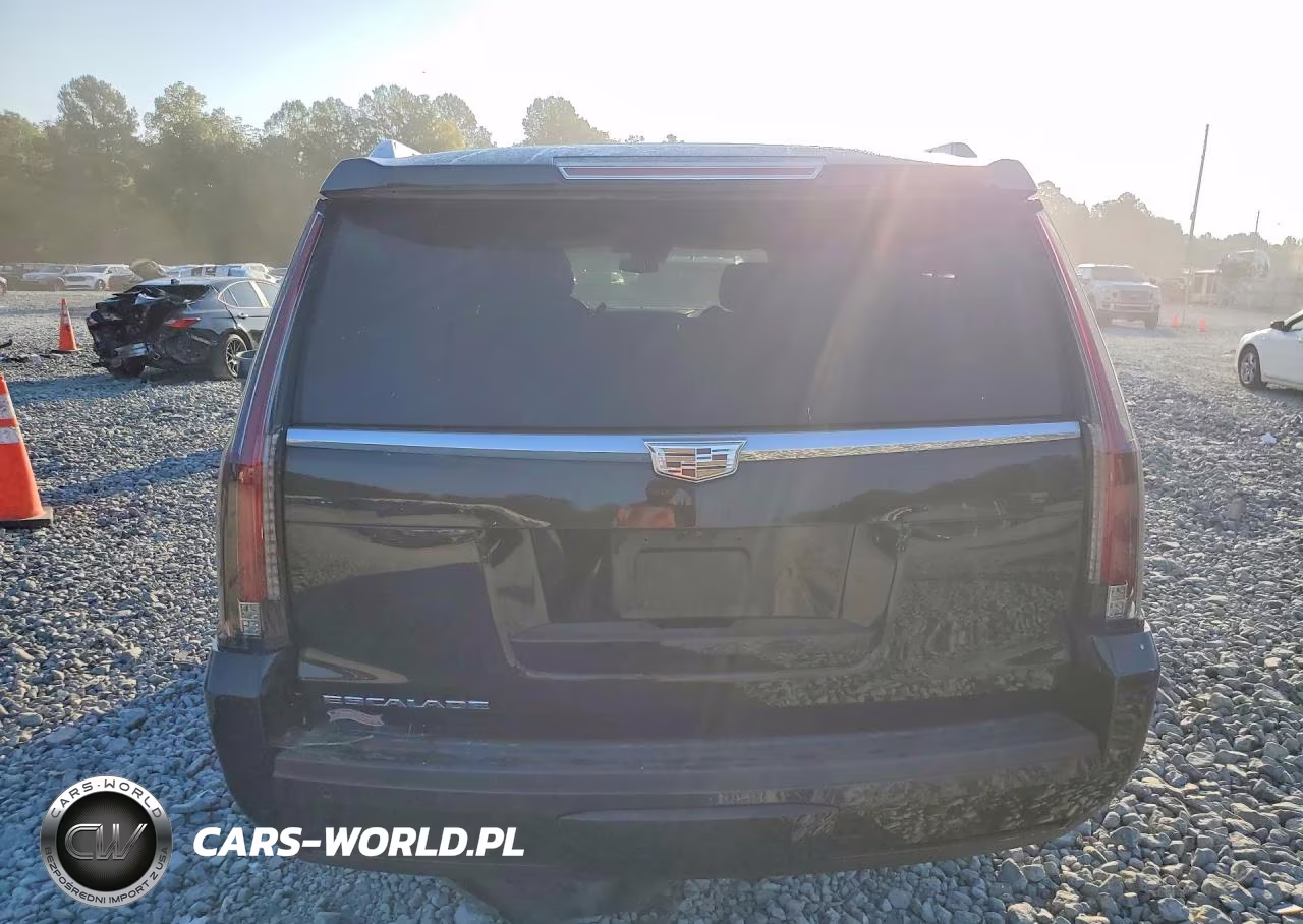 2020 Cadillac Escalade Esv Luxury VIN:1GYS3HKJ6LR173942 - 6