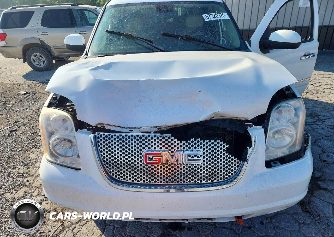 2009 GMC Yukon Denali VIN:1GKFK03219J123836 - 12
