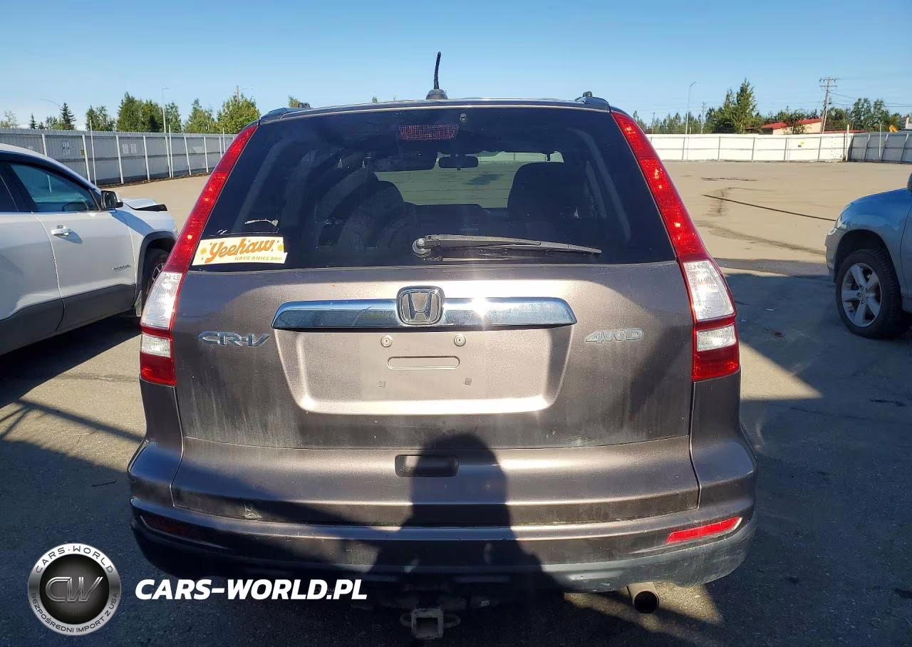 2010 Honda Cr-V Exl VIN:5J6RE4H71AL066200 - 6