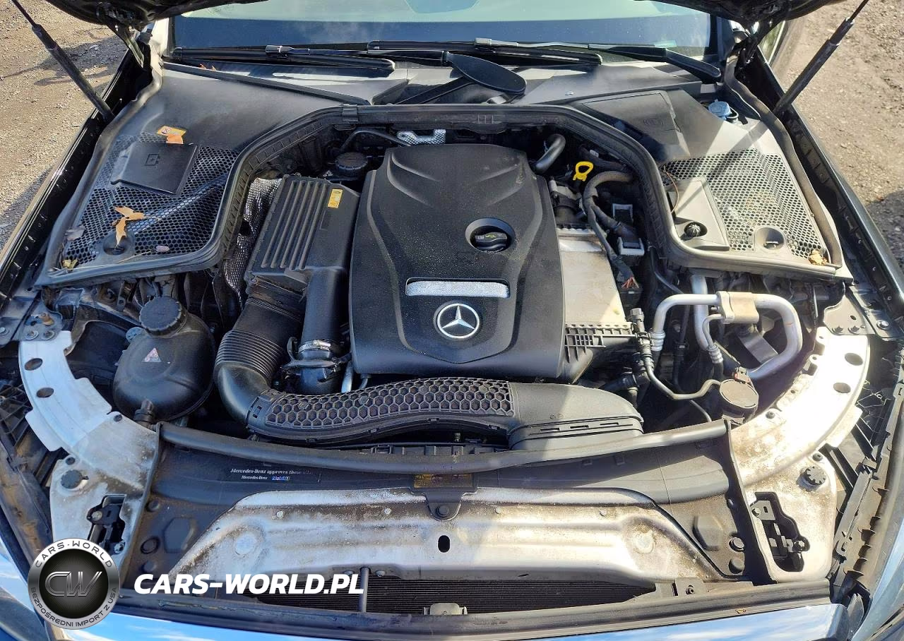 2016 Mercedes-Benz 300 Sd Tur VIN:55SWF4KB6GU163017 - 11