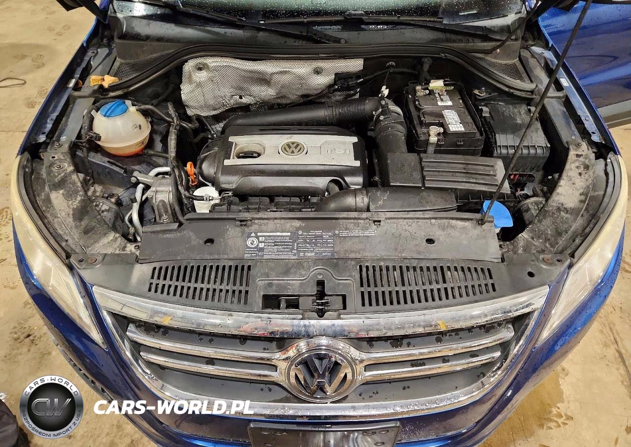 2009 Volkswagen Tiguan Se VIN:WVGBV75N19W004376 - 11