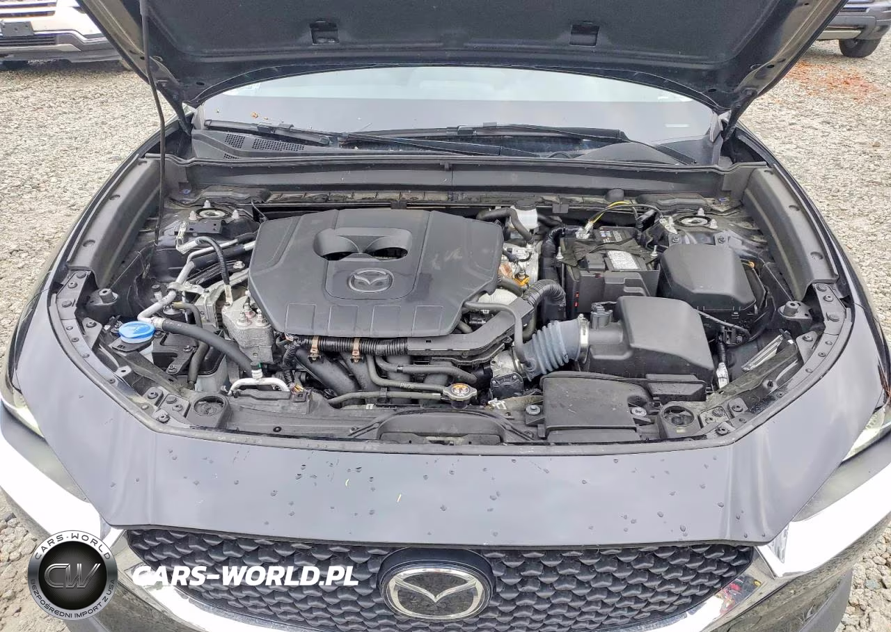 2024 Mazda Cx-30 VIN:3MVDMBAM7RM698568 - 12