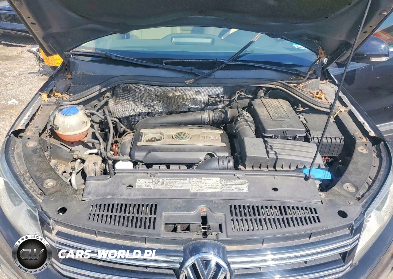 2012 Volkswagen Tiguan S VIN:WVGBV7AXXCW507502 - 11