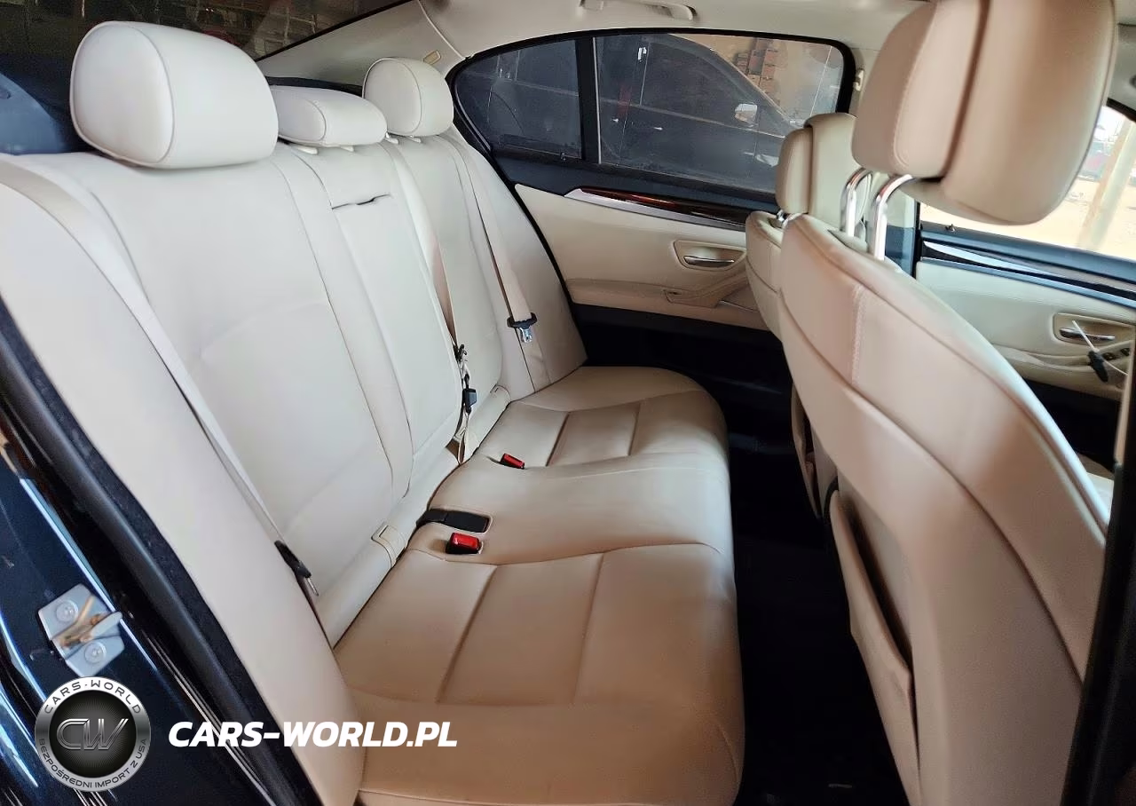 2012 BMW 528 Xi VIN:WBAXH5C53CDW10514 - 10
