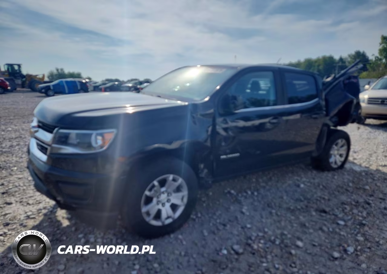 2019 Chevrolet Colorado Lt VIN:1GCGTCEN8K1120167 - 1