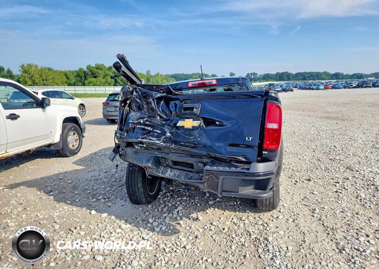 2019 Chevrolet Colorado Lt VIN:1GCGTCEN8K1120167 - 6