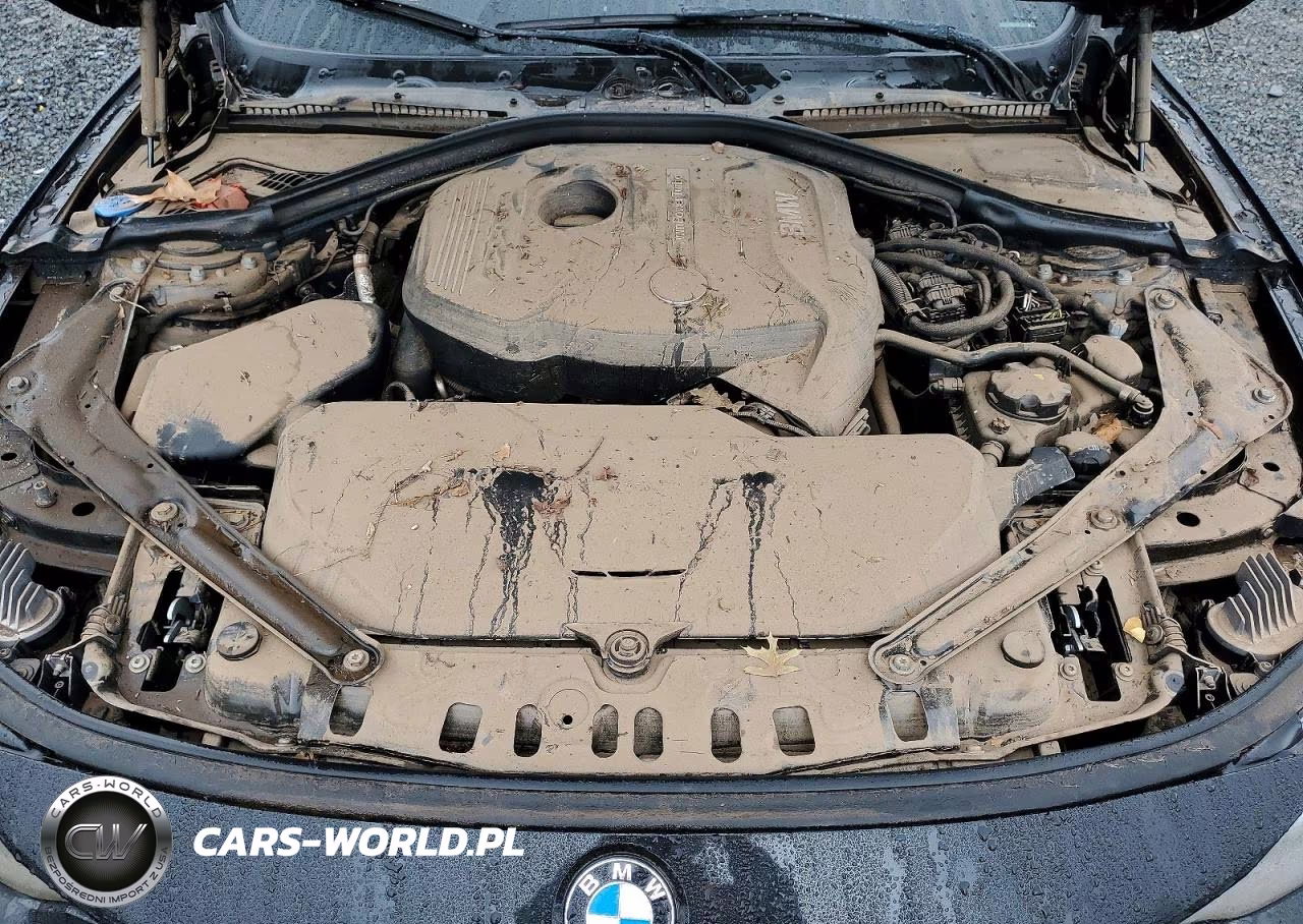 2020 BMW 430I VIN:WBA4Z1C0XL5S11655 - 11