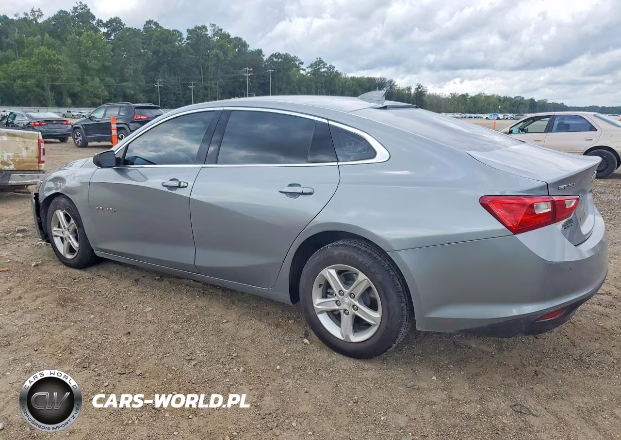 2024 Chevrolet Malibu Lt VIN:1G1ZD5ST8RF116968 - 2