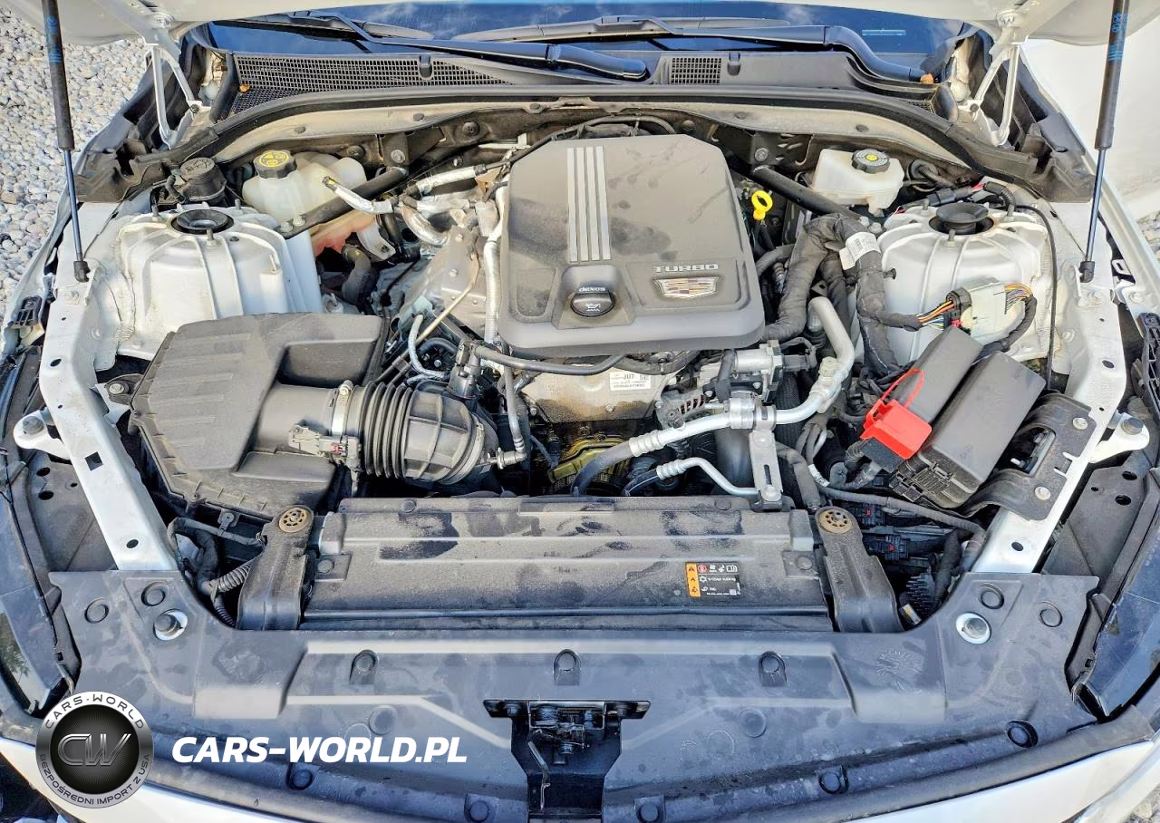 2024 Cadillac Ct5 Premium Luxury VIN:1G6DT5RK5R0109452 - 11