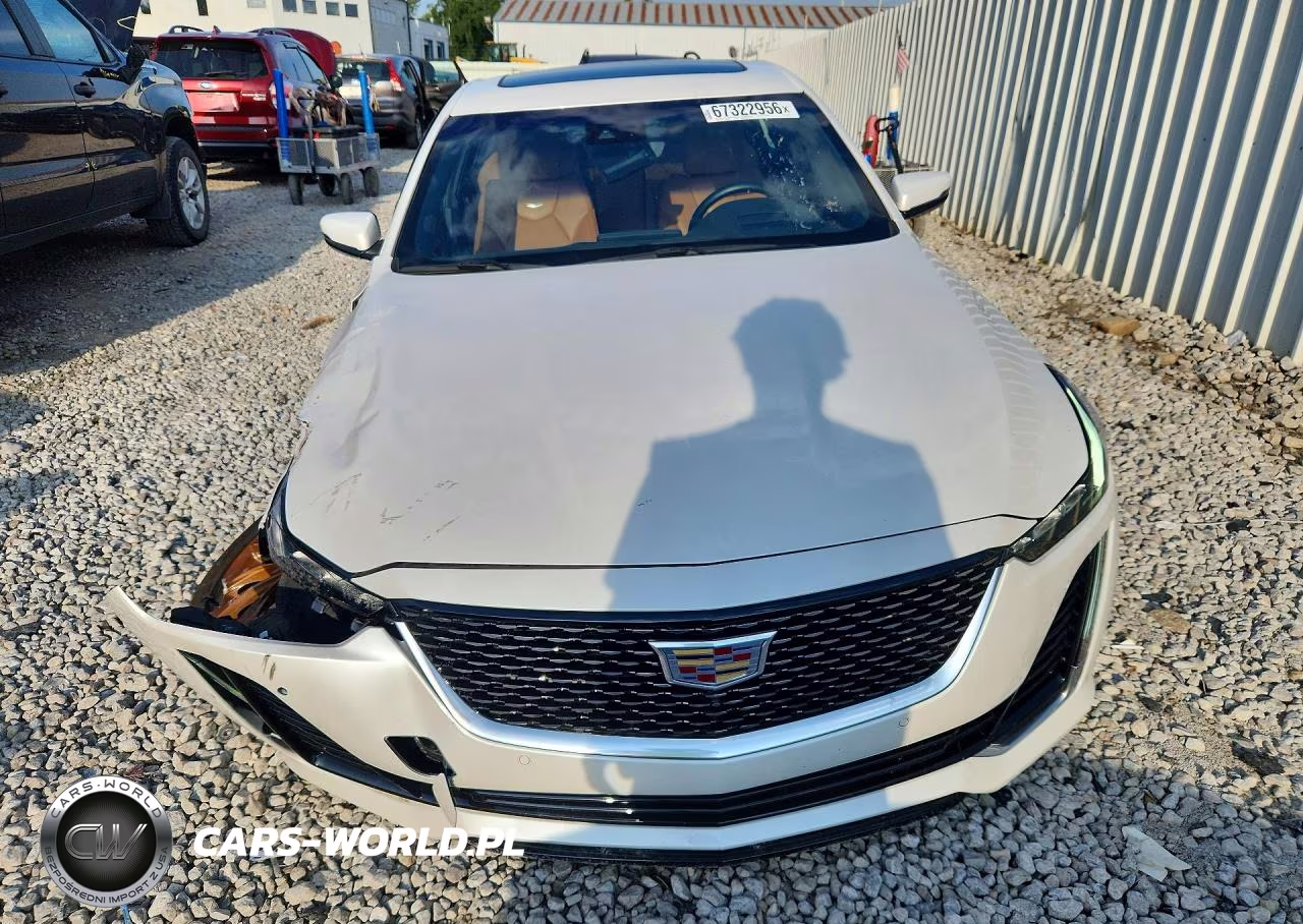 2024 Cadillac Ct5 Premium Luxury VIN:1G6DT5RK5R0109452 - 5
