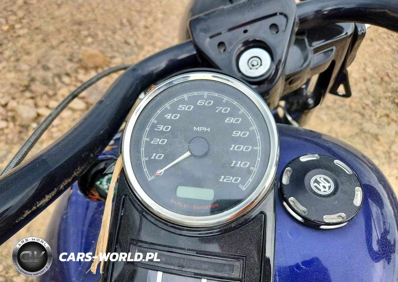 2020 Harley-Davidson Mc-Trailer VIN:1HD1KVP17LB610608 - 7
